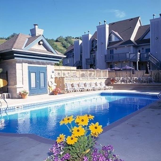 Blue Mountain Suites Blue Mountains Exterior photo